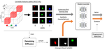 Leveraging Diffusion Disentangled Representations to Mitigate Shortcuts in Underspecified Visual Tasks